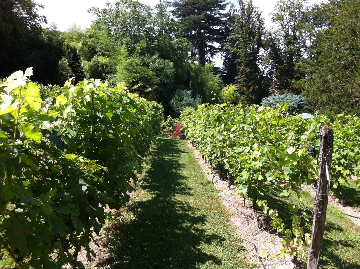 Chateau De Beaulieu Saumur Kültér fotó